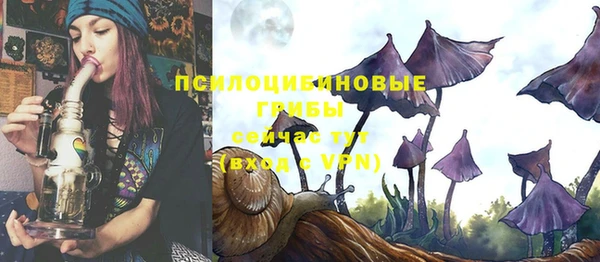 стаф Алексин