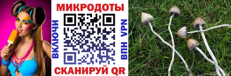 наркота Похвистнево omg маркетплейс Галлюциногенные грибы Psilocybine cubensis