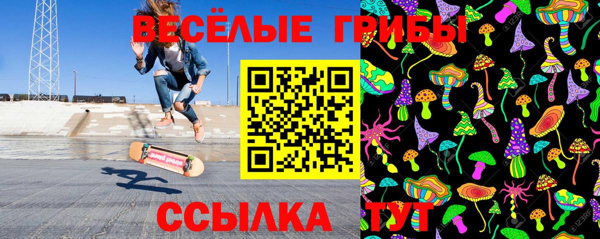 Галлюциногенные грибы Psilocybine cubensis Похвистнево