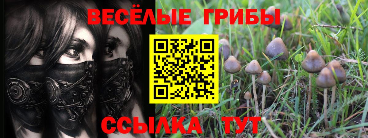 Похвистнево  Галлюциногенные грибы ЛСД  Вход с VPN  Галлюциногенные грибы мухоморы 